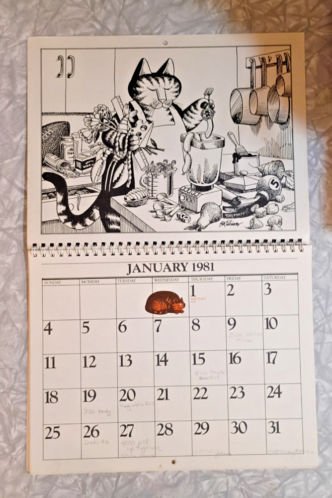 Vintage Cat Calendar B Kliban 1981 *Incomplete* Missing May & September