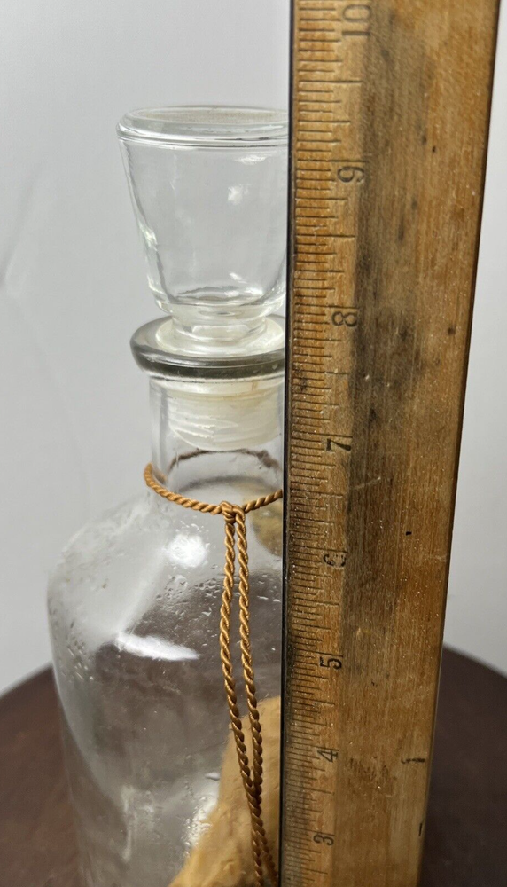 German Williams Specialty Pear Brandy with Original "In Grown Pear" EMPTY Bottle