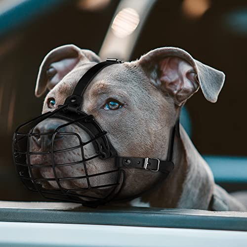 Pitbull Dog Muzzle Metal Mask Amstaff Secure Wire Basket Adjustable Black