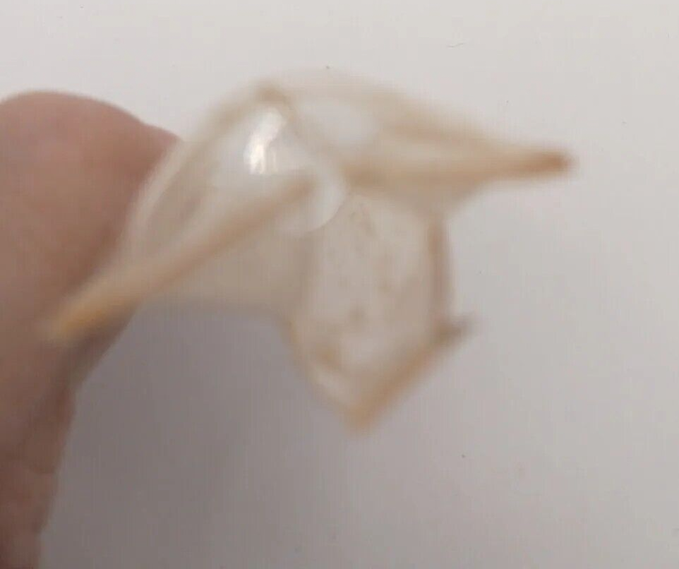 Takahashi chisel 12mm carpentry tool plane high chisel