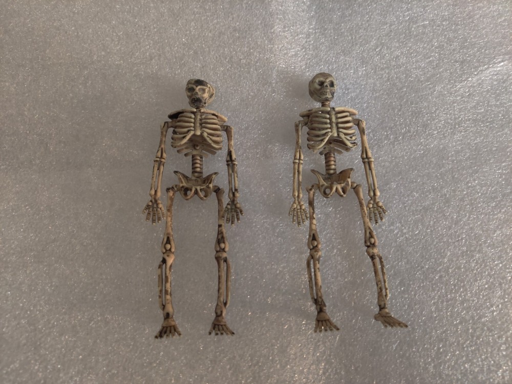 Halloween Skeleton Pair Props (Plastic)