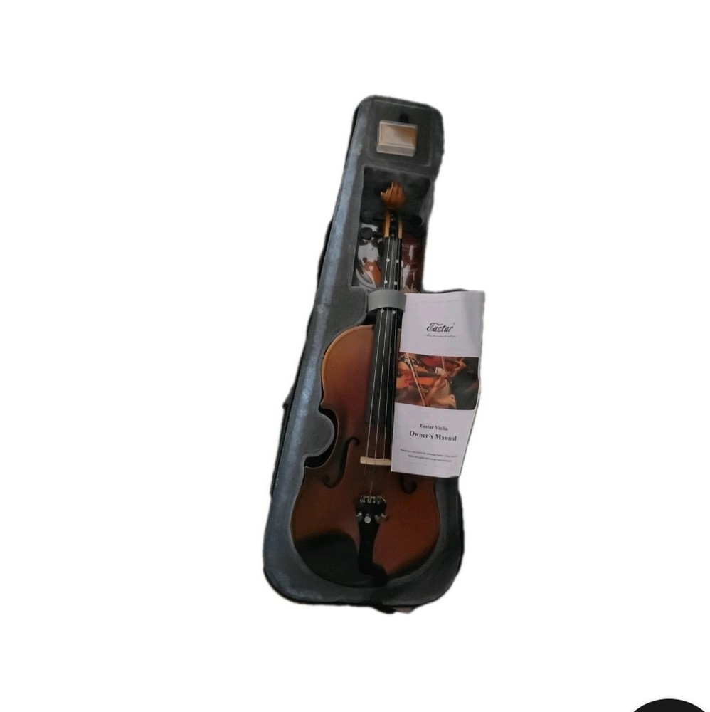 Violin