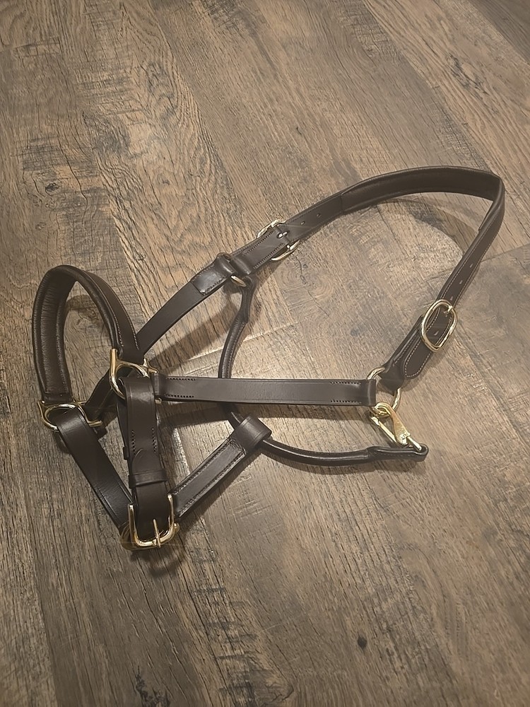 Horse Leather Halter