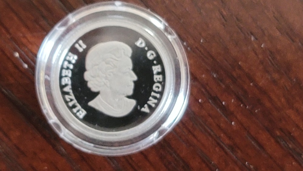 2014 RCM Cougar Set In Case