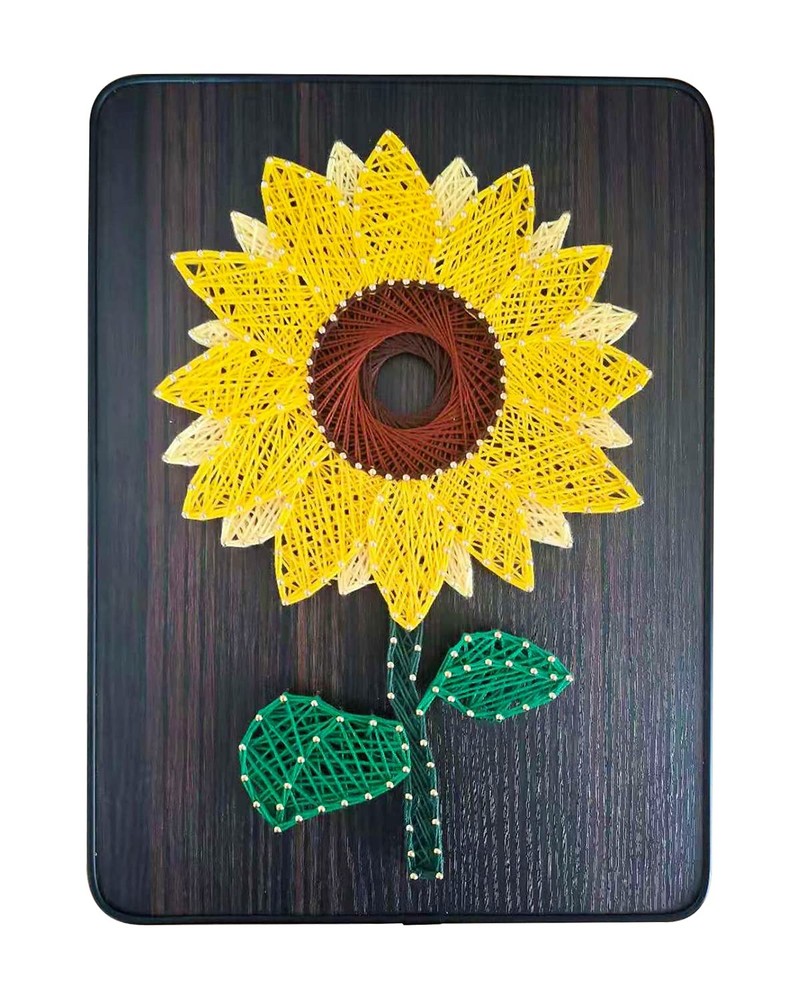 DIY String Art Kit for 9.8*13.4 inch, Multicolor