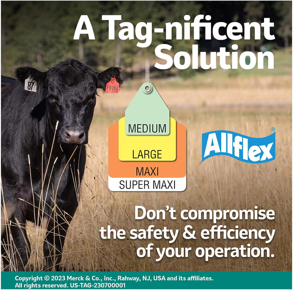 USA Large White Blanks Ear Tags