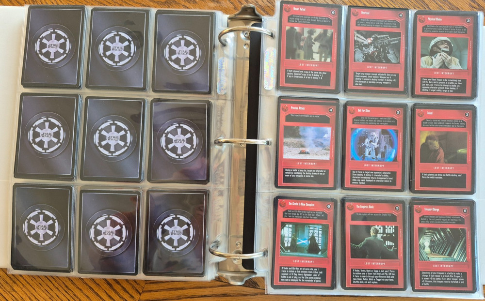Custom Listing for udflyeralex