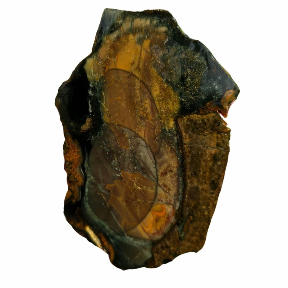 Blue Mountain Jasper Slab – Multiple Orbs Color Array – Oregon Orbicular