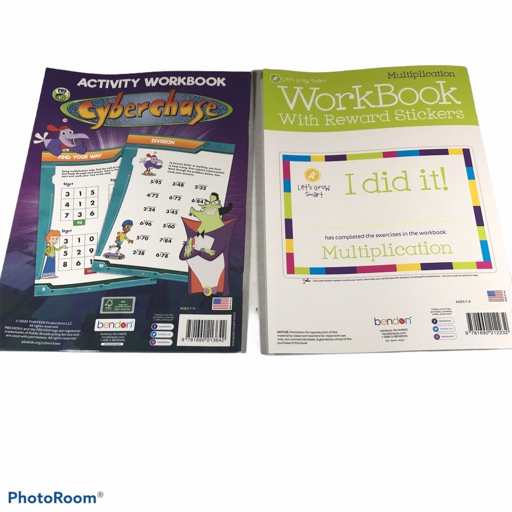 2-Pack Cyberchase/Multiplication Grades 2-3 Workbooks New
