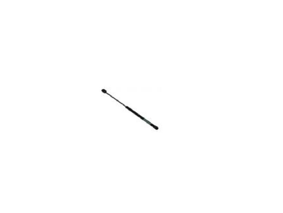 71095 Pro Lift III Gas Spring