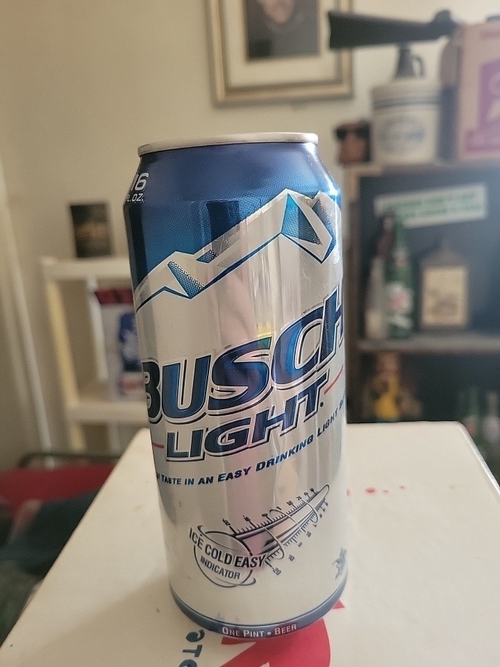 2013 Busch Light Empty  Can