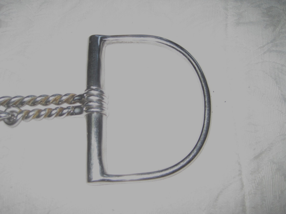 D- Ring Double Twisted Wire Stainless Steel 5'' Bit
