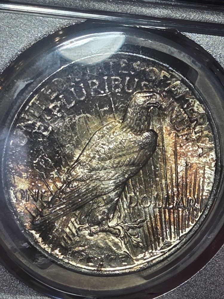 1923 $1 Peace Dollar PCGS MS62 Toned