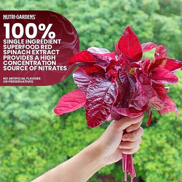 VITA SPINACH Red Spinach Extract