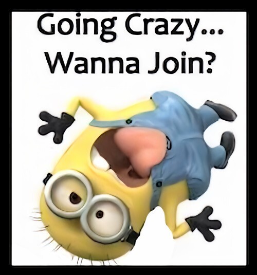 Minion Going Crazy Wanna Join? -MAGNET