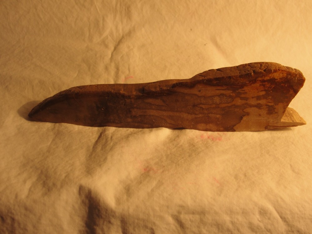 PETRIFIED WOOD FOR DISLAY Z1137