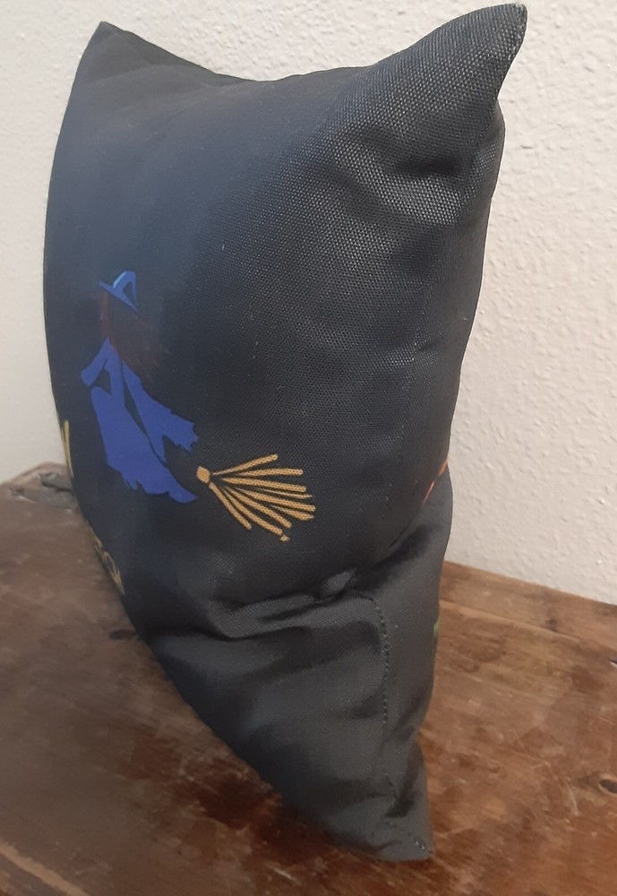 Haunted Witchcraft Magick Pillow