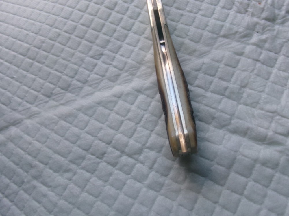 James Wiggins custom mint stag mid lock folder