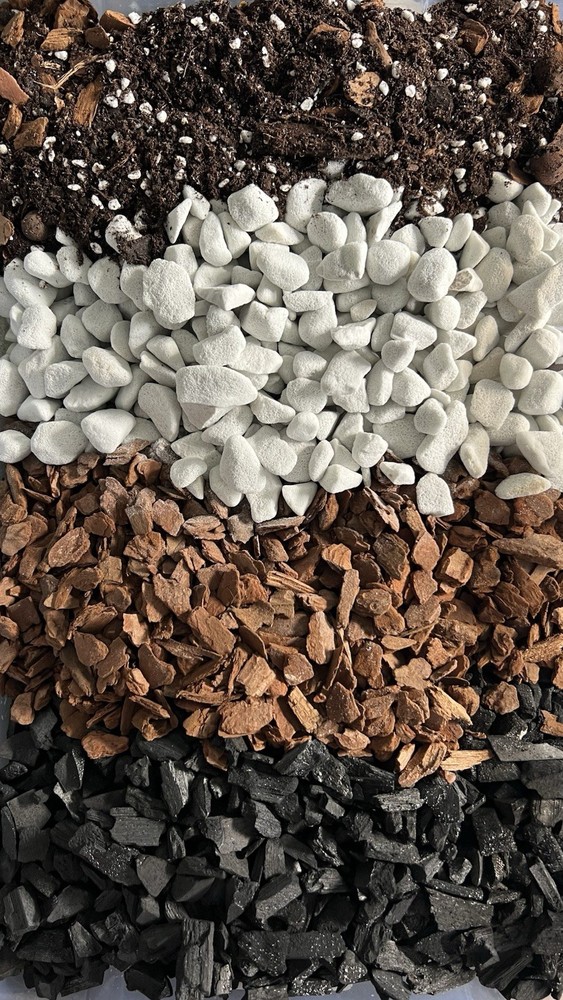 Aroid Mix