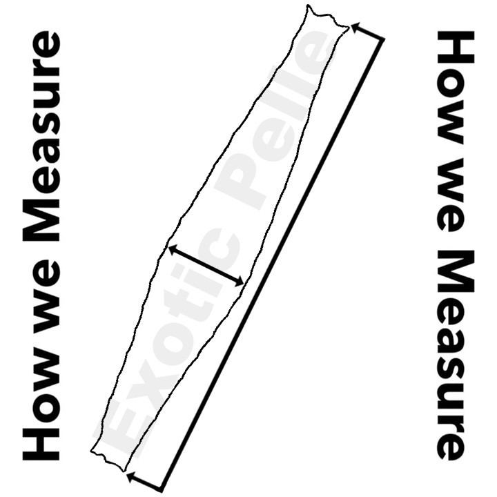 Yellow Natural Python Snakeskin Leather real hide snake skin rattle boa 523