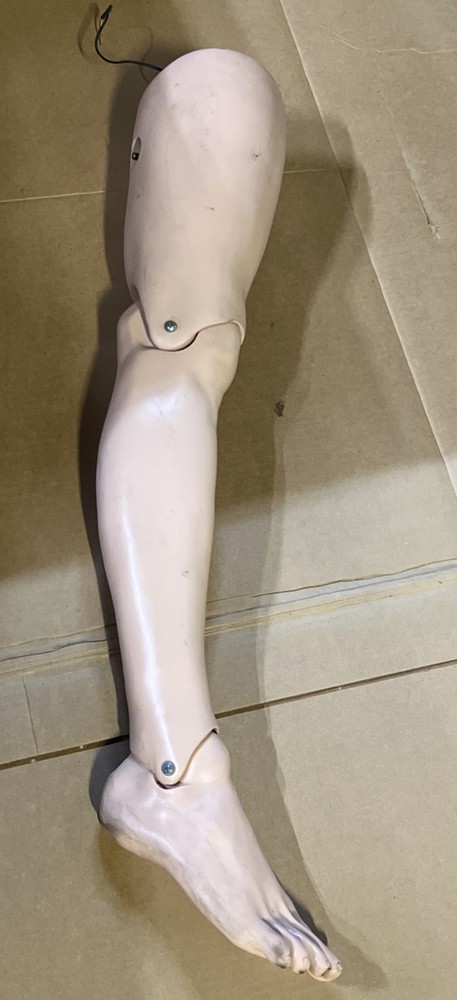 Training Mannequin Parts (Right Leg)