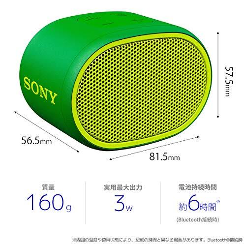 Sony Wireless Portable Speaker Waterproof Bluetooth with Microphone Green