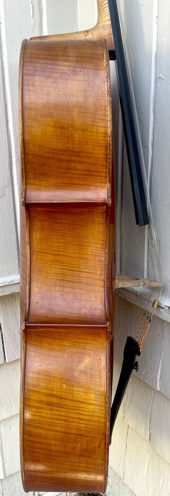 1916 Holm Viertel German cello