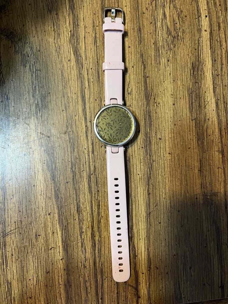 Used Garmin Lily