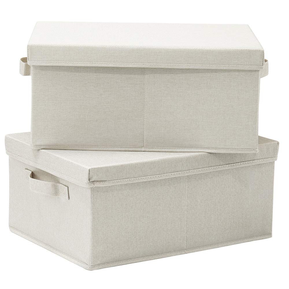 Foldable Storage Bins with Lids, 2 Pack, Storage Boxes with Carrying Handles ...