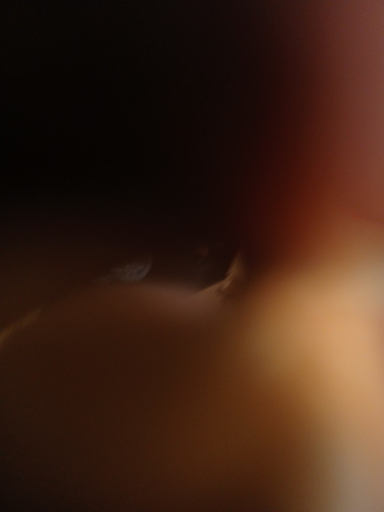 TP LINK WIFI SYSTEM