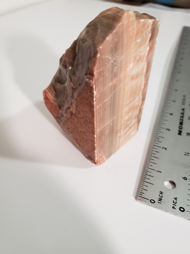Agatized Petrified Wood 5"