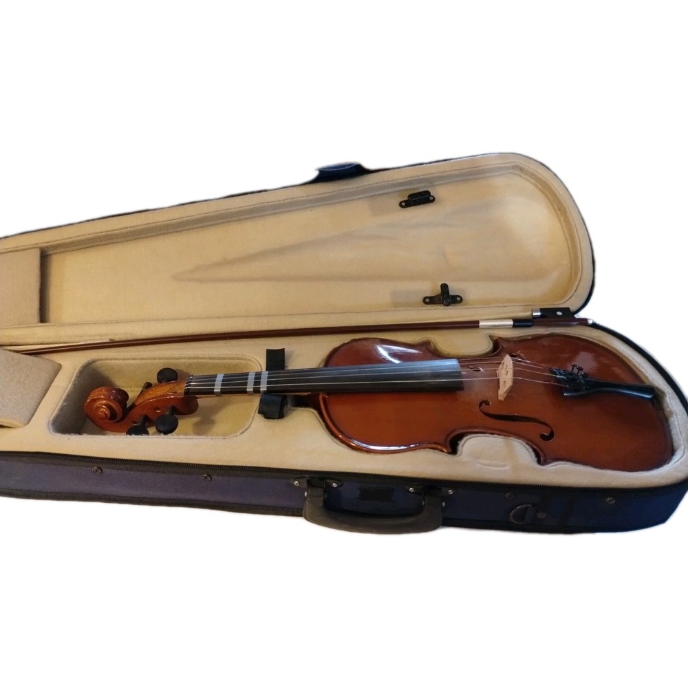Mendini Beginners Violin cecilic / Beginner Kit Case, Bow,Rosen Size 4/4