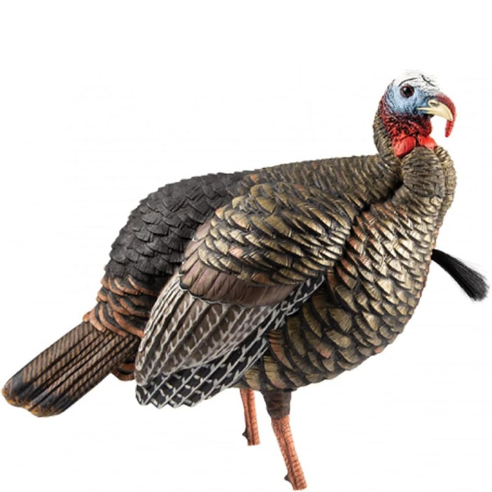 Avian X Heavy Duty Realism Jake Decoy