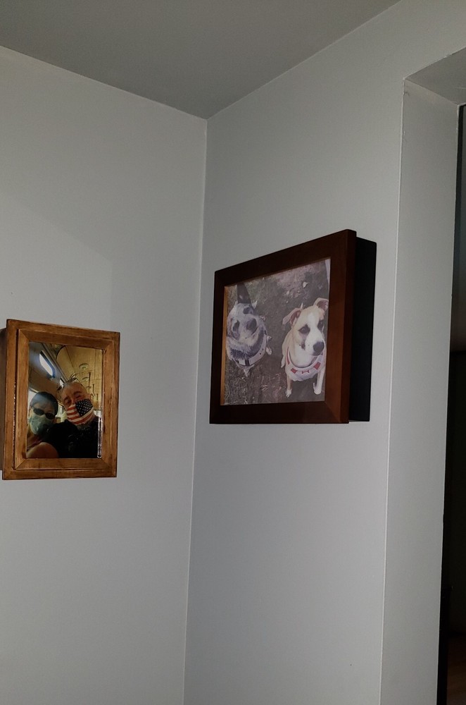 concealment picture frame