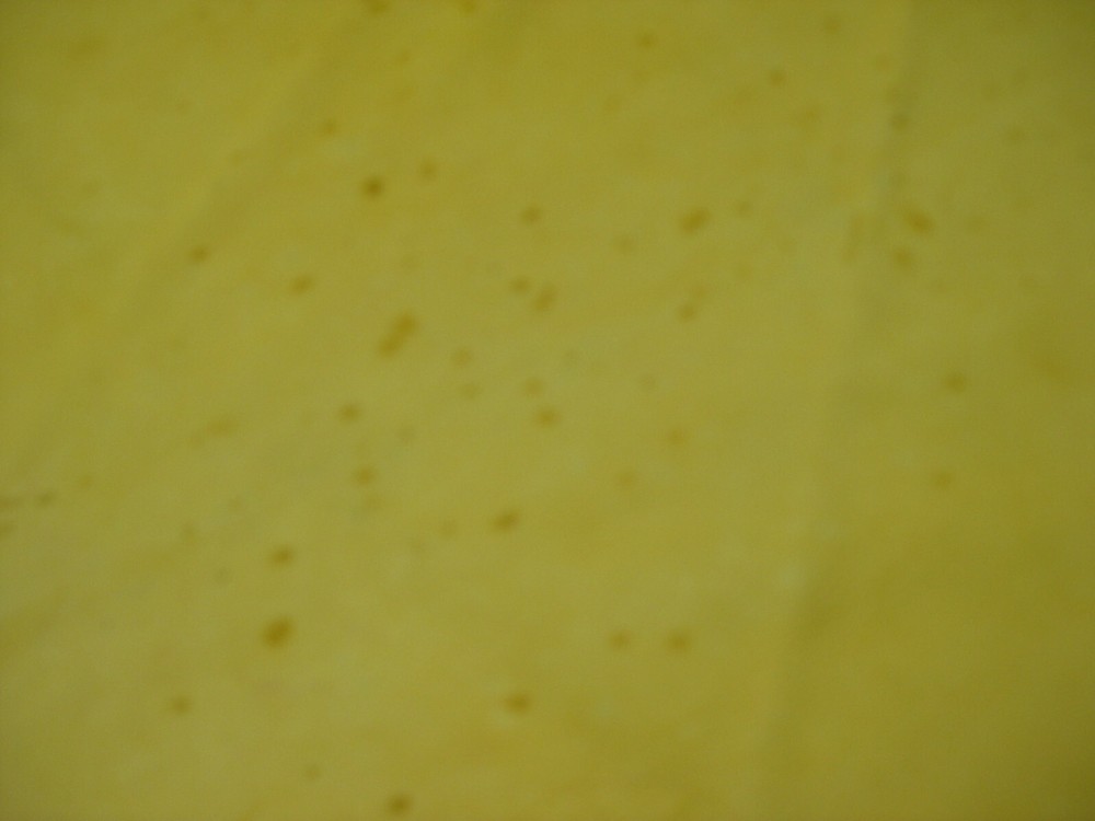 Top Grain Deer Leather # 0010877 ROW 22