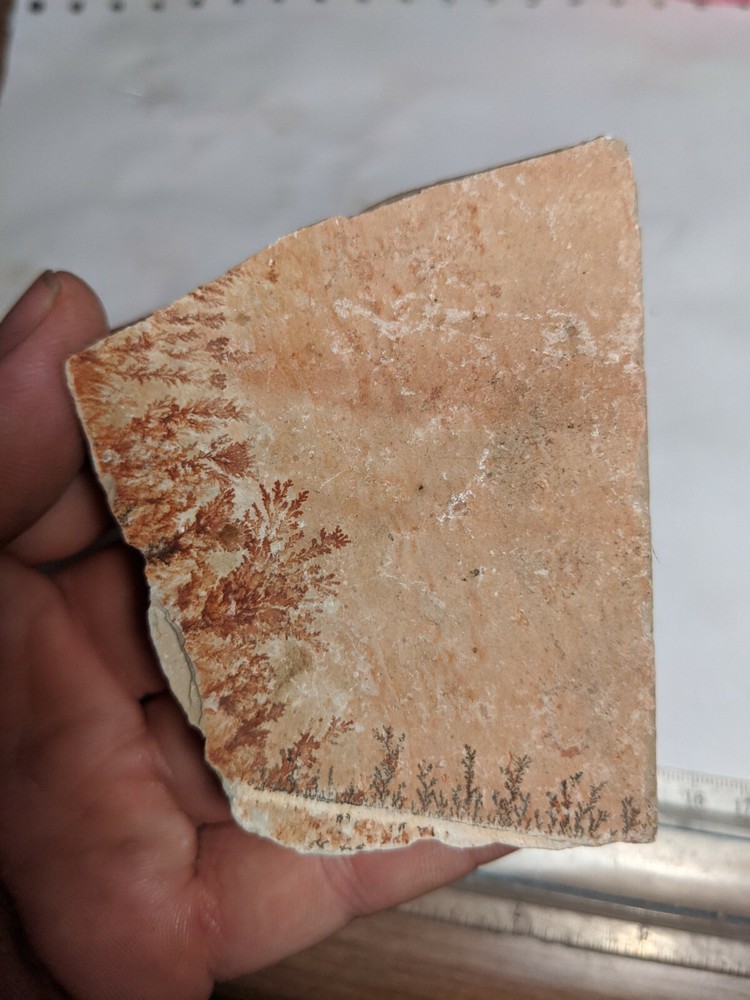 Print Stone Slab Dendritic Limestone Dendrites