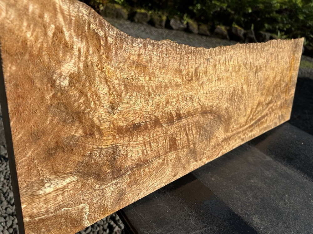 Hawaiian Curly Mango Board #14063