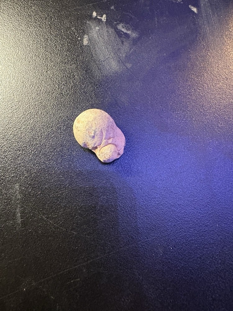 Dug Civil War Relic