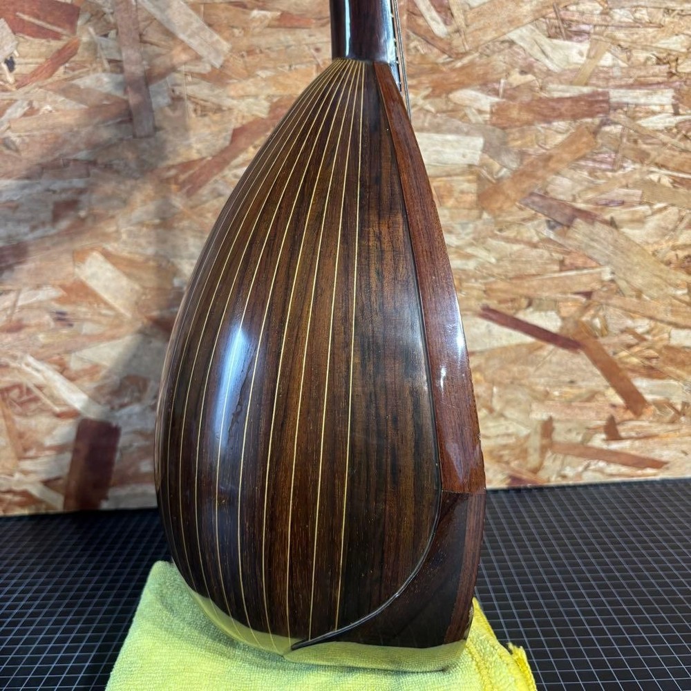 Rafael Carache TYPE.15 Round Mandolin