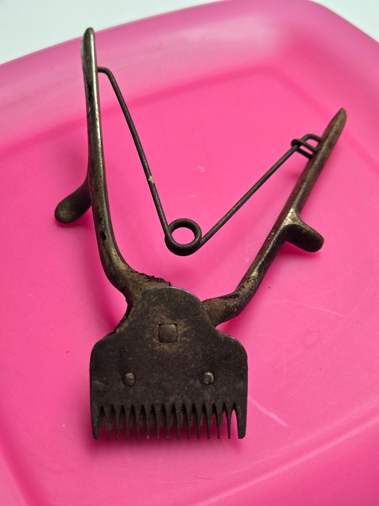 Vintage Shears that still Work - Free Shipping