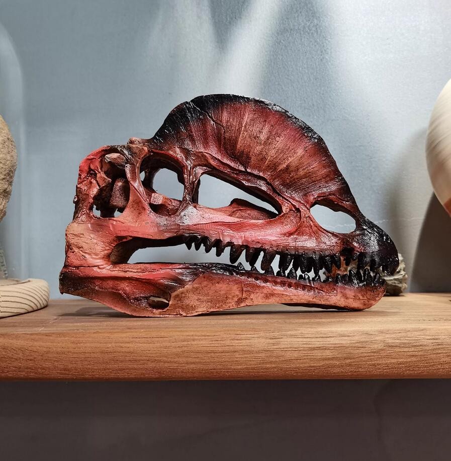 Dilophosaurus Skull Model Dinosaur Statue Display Animal Model