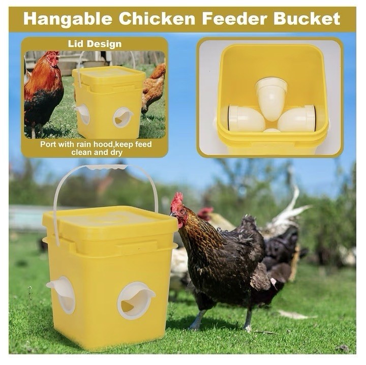 Automatic Chicken Coop Waterer And Feeder