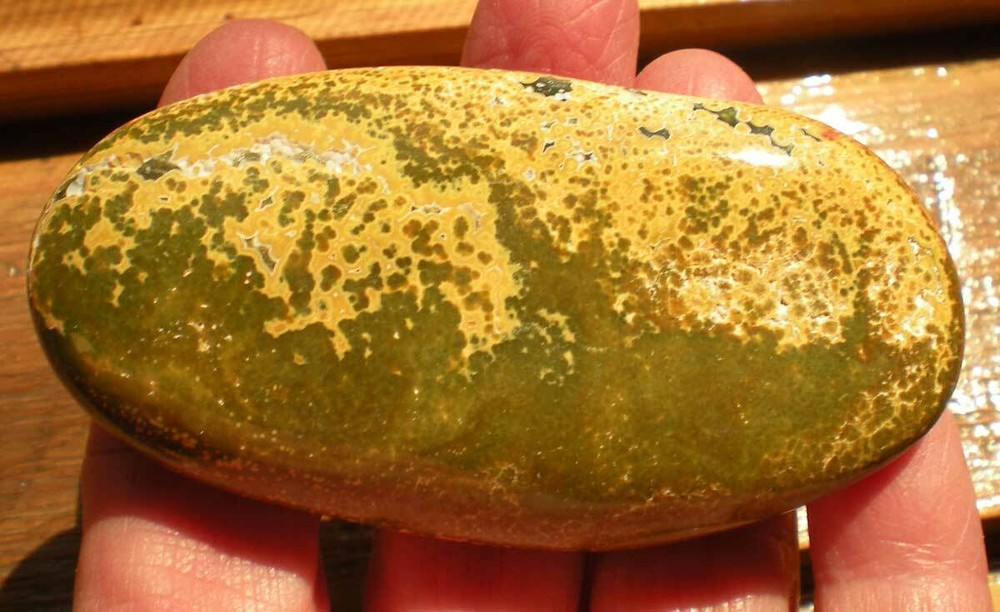 Ocean Jasper Palm Stone sc687r