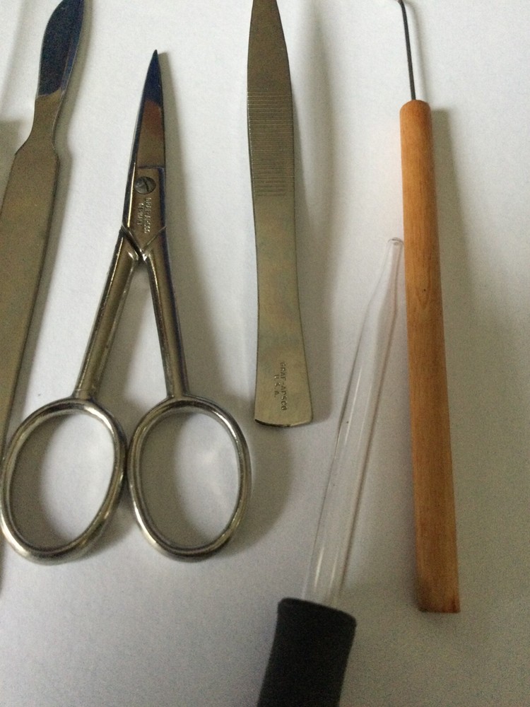 Vintage 6 piece Graf-APSCO Germany Dissection Kit - Pre-owned