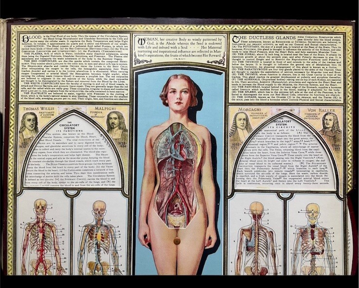 1943 Illustrated BODYSCOPE Folio