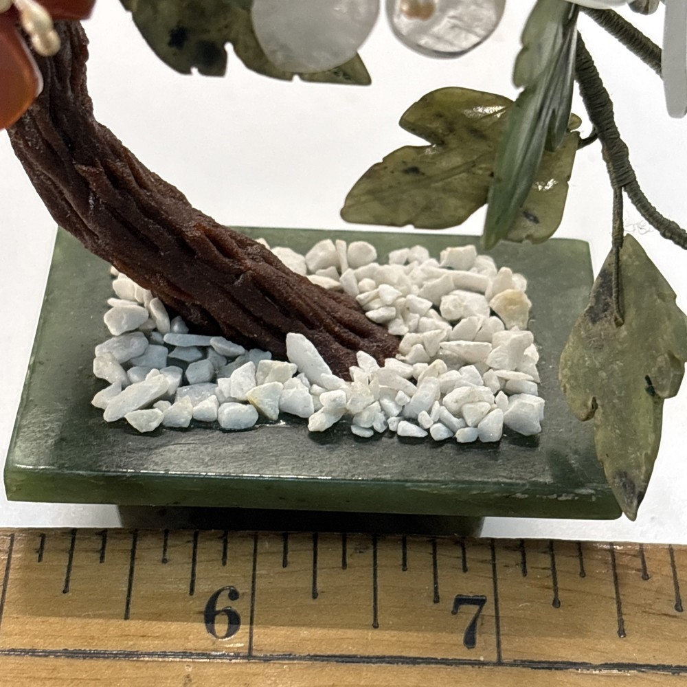 Curved Chinese Jade Tree