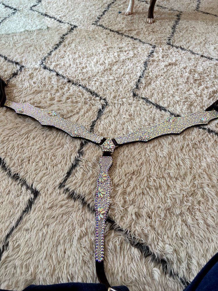 Handmade bedazzled breast collar