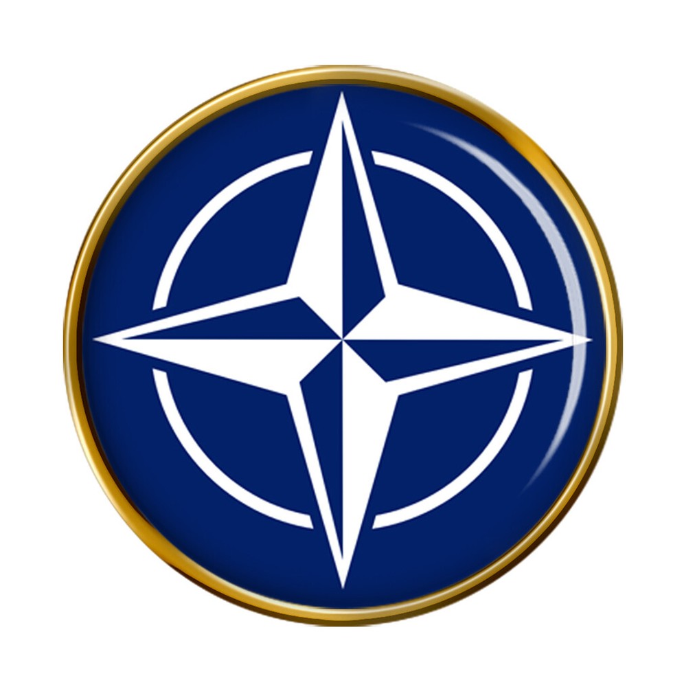NATO Pin Badge