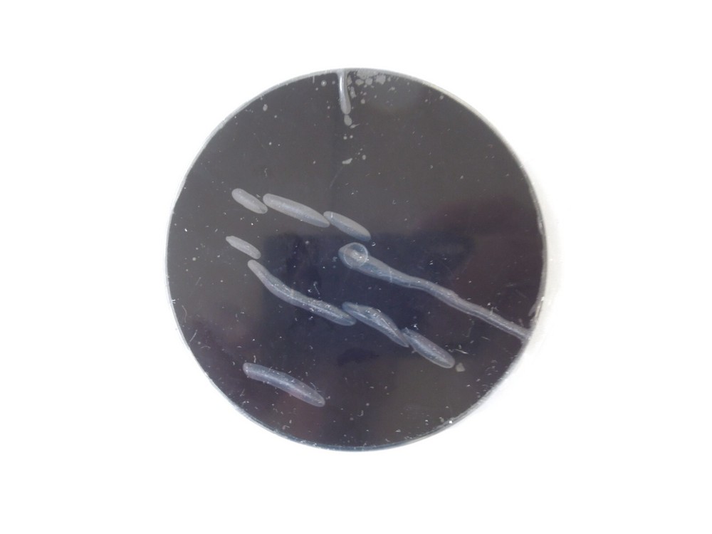 Electronics Cell Phones & Accessories & GPS Mounts