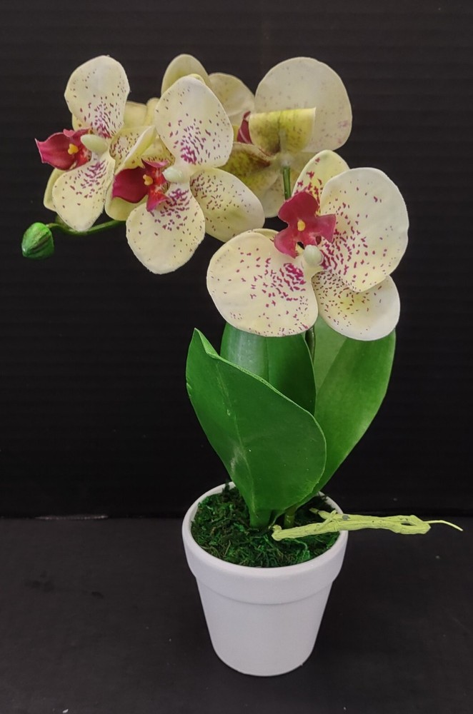 Artificial mini Phalaenopsis orchid
